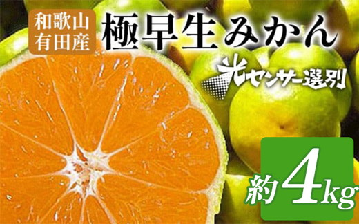 【先行予約】こだわりの極早生みかん 約4kg 農家直送 有機