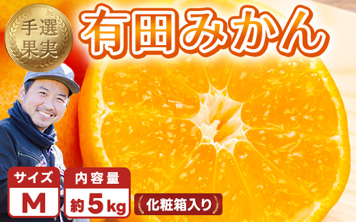 【まごころ手選別】和歌山の有田みかん 化粧箱入り 約5kg M