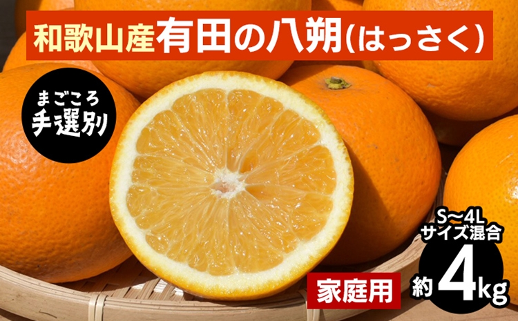 【まごころ手選別】有田の八朔(はっさく)約4kg(S～4Lサイズ