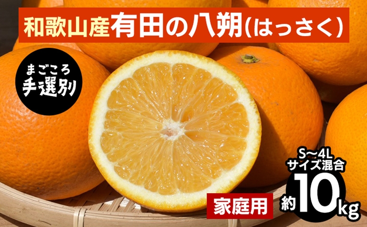 【まごころ手選別】有田の八朔(はっさく)約10kg(S～4Lサイズ