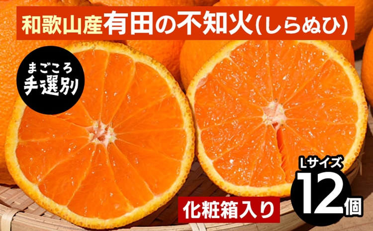 【まごころ手選別】和歌山産　有田の不知火(しらぬひ) 化