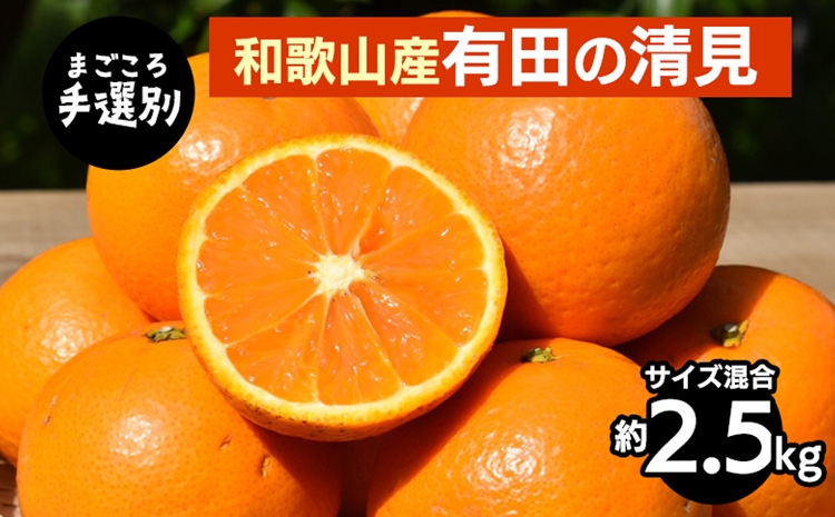 【まごころ手選別】和歌山産　有田の清見　約2.5kg(サイズ
