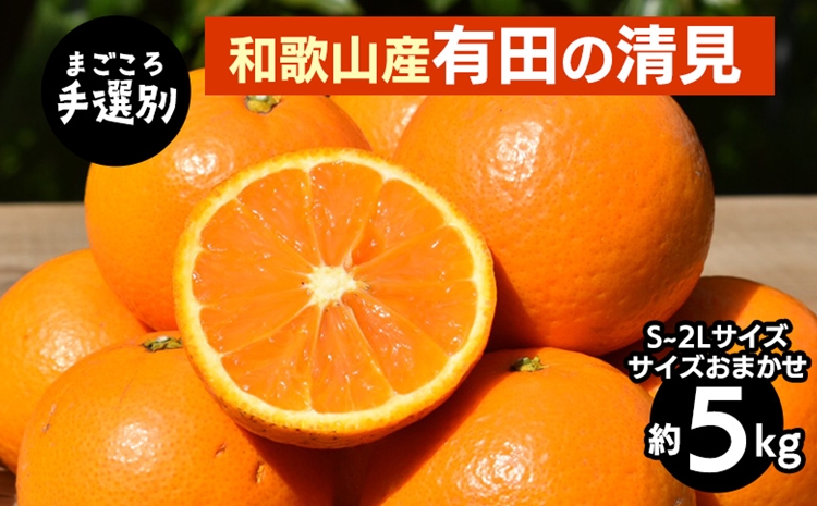 【まごころ手選別】和歌山産　有田の清見　5kg(S～2Lサイズ)