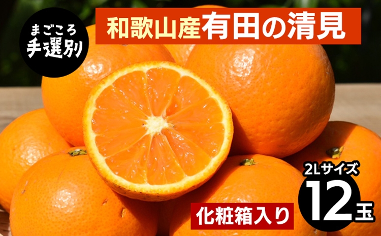 【まごころ手選別】和歌山産　有田の清見　化粧箱 2Lサイ