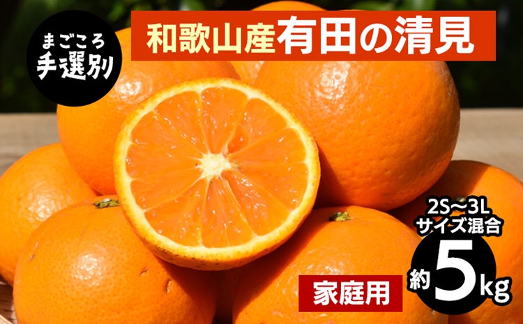 【まごころ手選別】和歌山産　有田の清見　約5kg(2S～3Lサイ