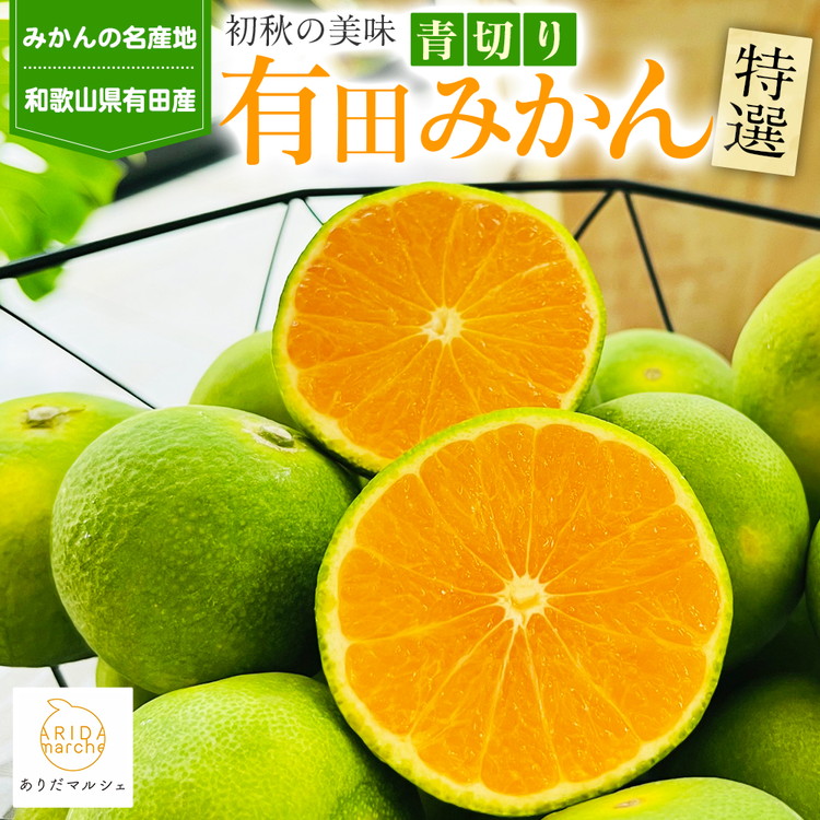 【先行予約】【初秋の美味】特選！濃厚青切り有田みかん