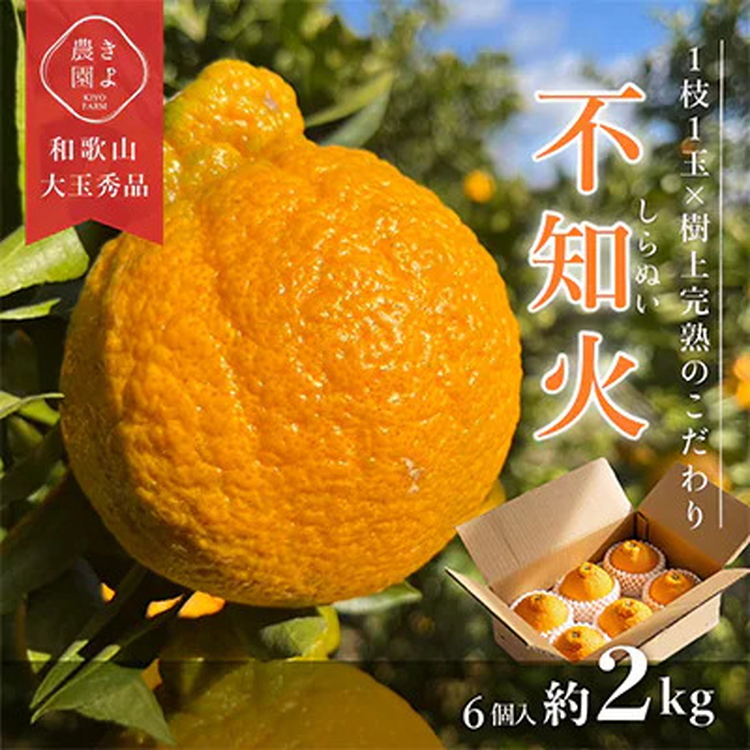 先行受付　不知火　希少な樹上完熟!　秀品大玉　6個入 ※20