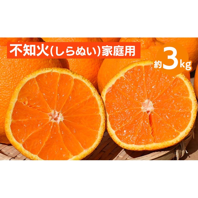 和歌山産　不知火 約3kg【家庭用】 ※2026年2月上旬～4月下旬