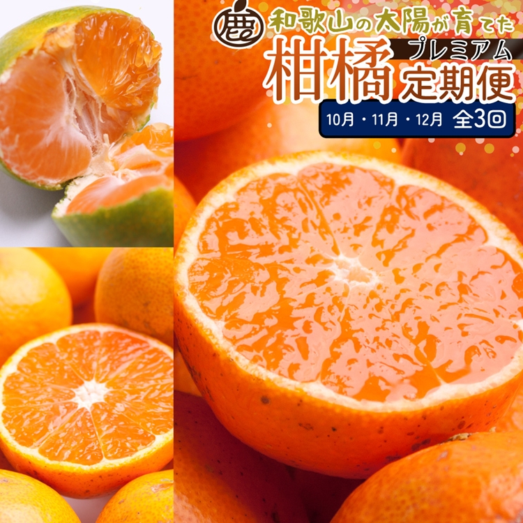 【定期便】厳選 柑橘定期便SS 3回（10～12月）※北海道・沖