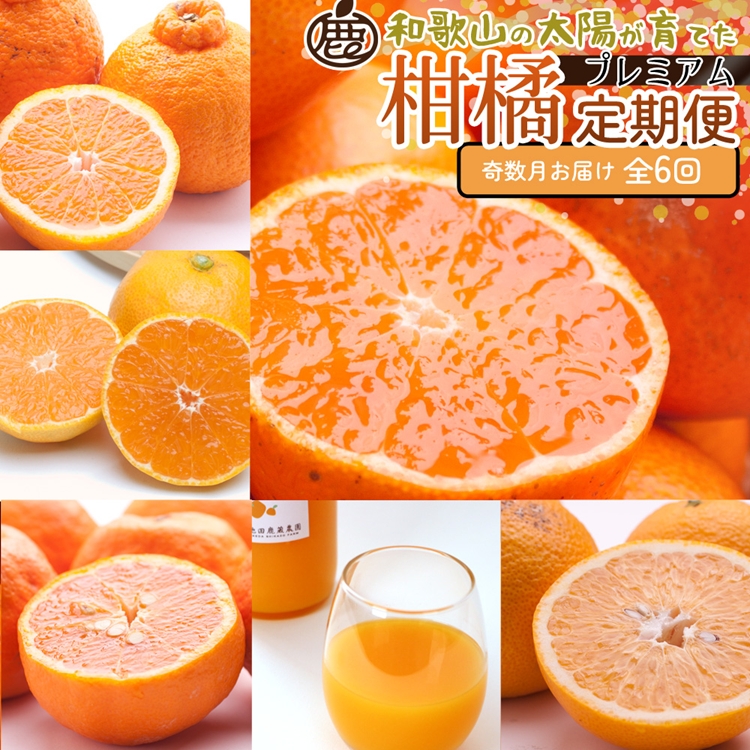 【定期便】厳選 柑橘定期便 S 6回（奇数月）※北海道・沖縄