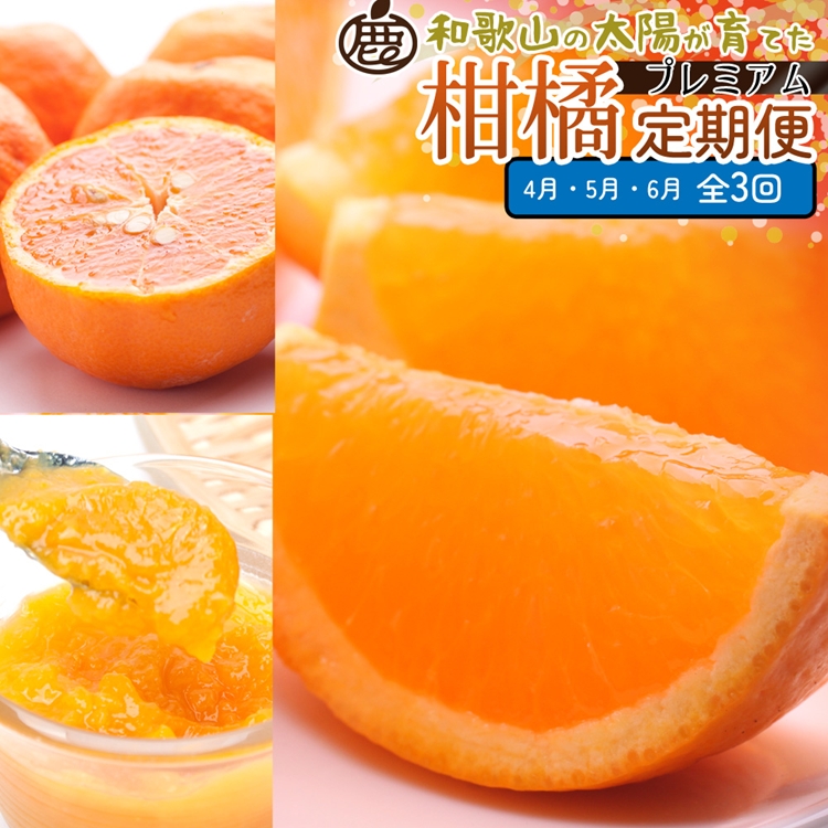【定期便】厳選 柑橘定期便 S 3回（4～6月）※北海道・沖縄