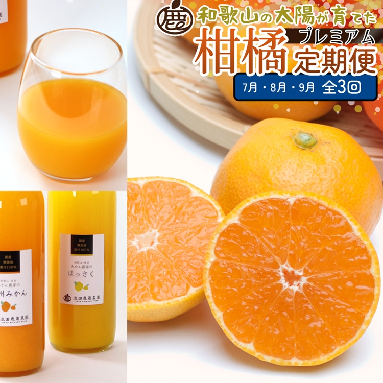 【定期便】厳選 柑橘定期便 S 3回（7～9月）※北海道・沖縄