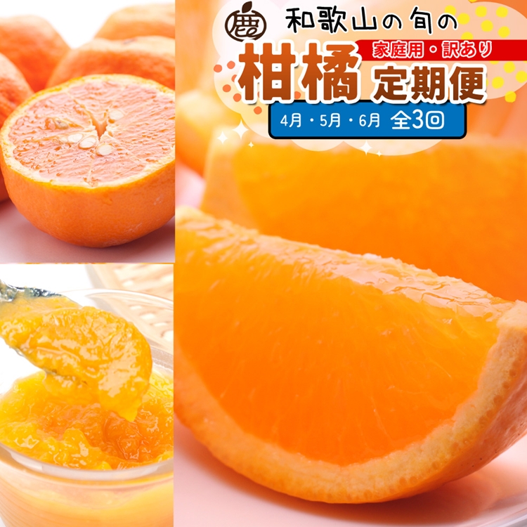 【定期便】家庭用 柑橘定期便 S 3回（4～6月）※北海道・沖