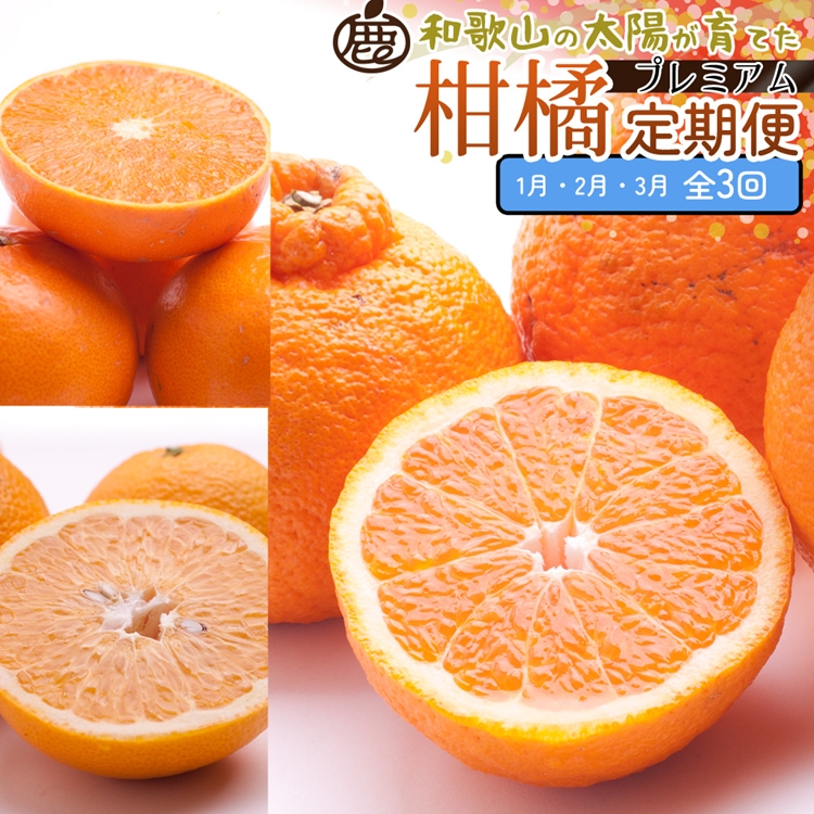 【定期便】厳選 柑橘定期便 M 3回（1～3月）※北海道・沖縄