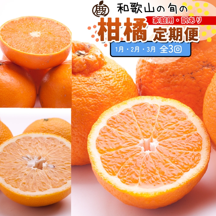 【定期便】家庭用 柑橘定期便 M 3回（1～3月）※北海道・沖