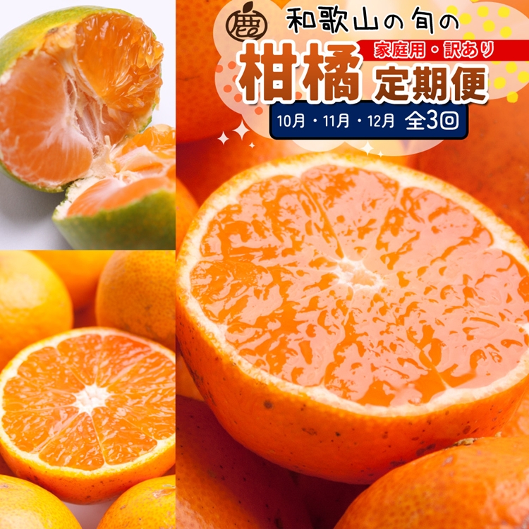 【定期便】家庭用 柑橘定期便 M 3回（10～12月）※北海道・