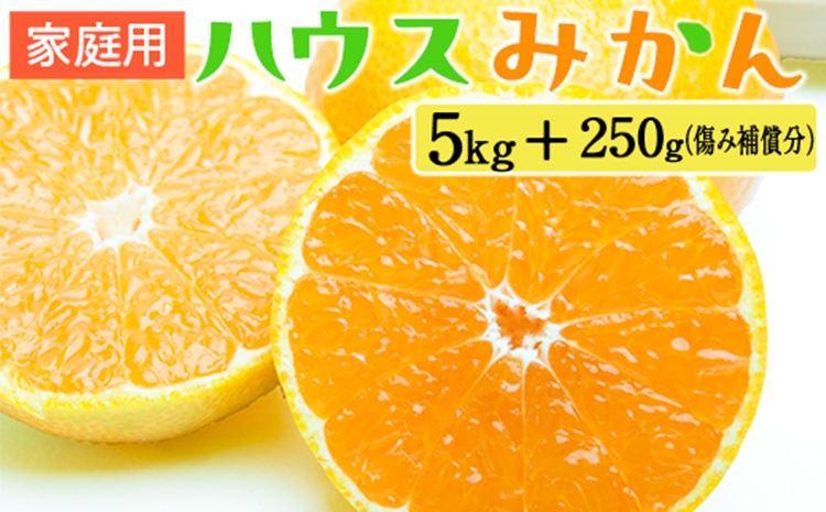 家庭用 ハウスみかん5kg+250g（傷み補償分）