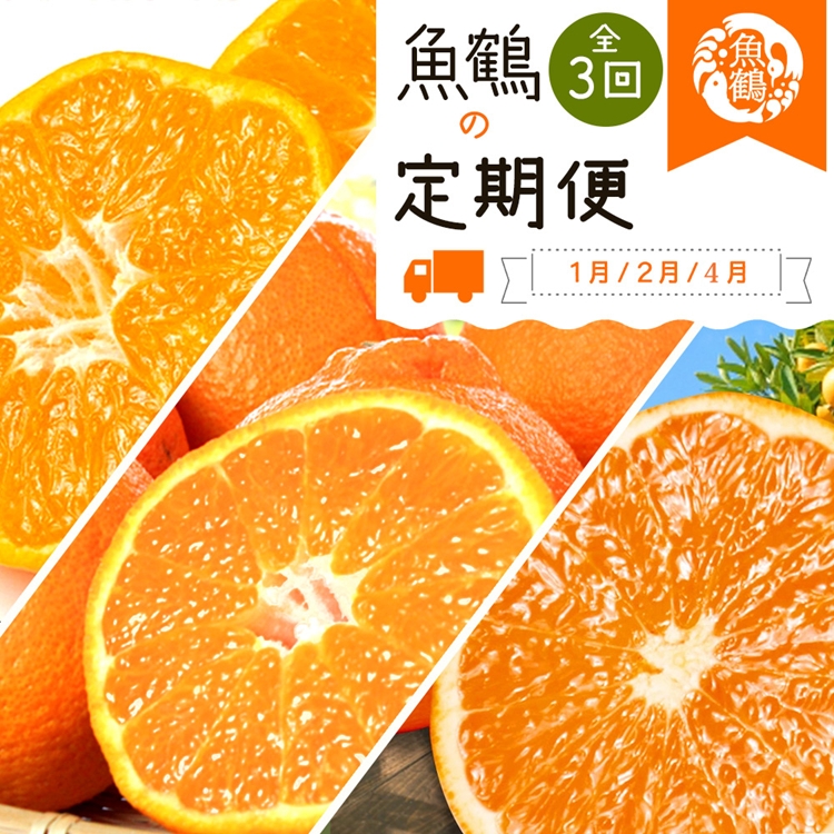 〈定期便〉【1・2・4月 全3回】紀州和歌山産旬の柑橘セット