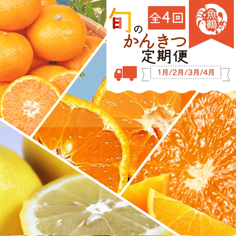 〈定期便〉【1・2・3・4月 全4回】紀州和歌山産旬のフルー