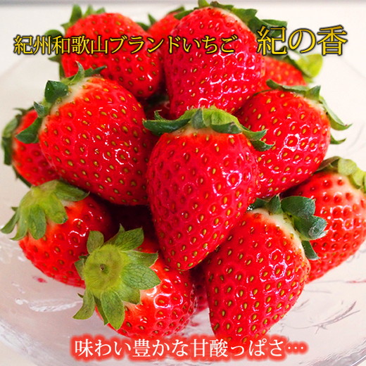 【先行予約】 紀州和歌山産 ブランド いちご 「紀の香」約2