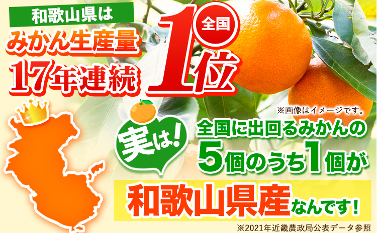 【先行予約】家庭用 柑橘詰合せ 約1kg＋250g (傷み補償分) 3種類以上 有田の春みかん詰め合わせ 光センサー選別 池田鹿蔵農園 《2026年1月上旬-4月末頃出荷》 和歌山県 日高町 【配送不可地域あり】---wsh_idn305_1j4m_25_7000_1kg---