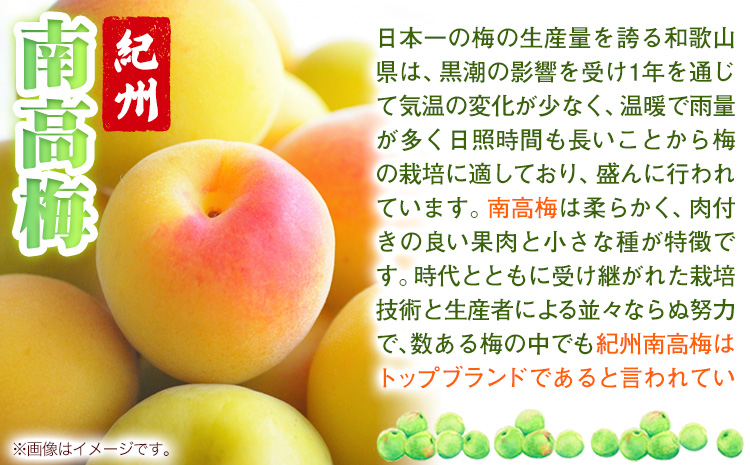 塩零梅 梅干し 紀州南高梅 食塩不使用 有限会社プラム 600g 《30日以内に出荷予定(土日祝除く)》和歌山県 日高町 送料無料 梅 うめ ウメ 南高梅 紀州---wsh_plm14_30d_25_10000_600g---
