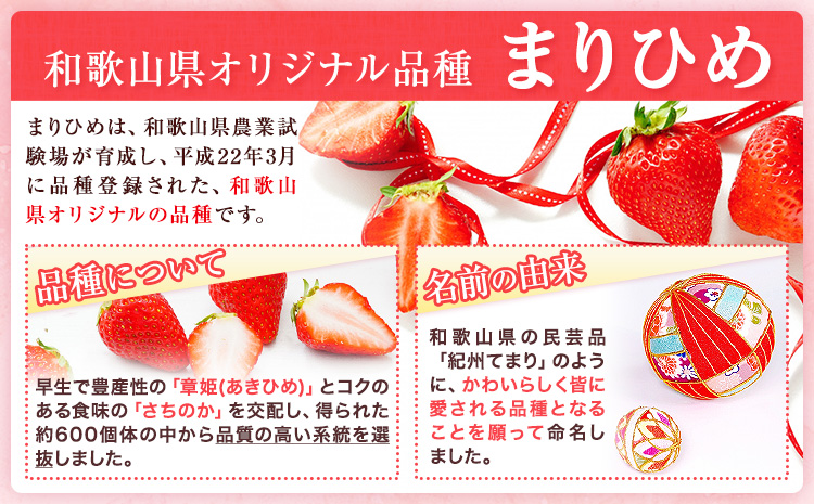 【先行予約】いちご 和歌山県産 紀州和歌山 ブランド いちご まりひめ 計1kg 250g×4パック 株式会社魚鶴商店 《1月上旬-2月下旬頃出荷》 和歌山県 日高町 フルーツ 果物 スイーツ 甘い---wsh_cuot224_1j2g_25_18000_4p---