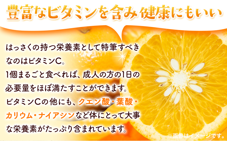 厳選 樹上完熟 はっさく 八朔 みかん 10kg＋250g 傷み補償分 池田鹿蔵農園 @日高町《2026年4月上旬-5月末頃出荷》和歌山県 日高町 送料無料 はっさくみかん ハッサク 厳選八朔みかん【配送不可地域あり】---wsh_idn345_4j5m_25_22000_10kg---