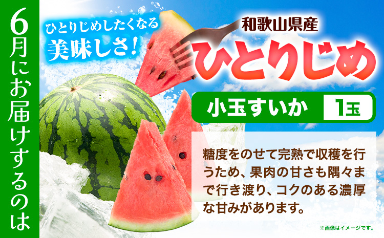 【発送月固定定期便】フルーツセット 果物セット(すいか 桃 ひらたねなし柿)【全３回】 魚鶴商店《6月中旬-10月末頃出荷予定(土日祝除く)》---wsh_uotteic_23_37000_ev2mo3num1---