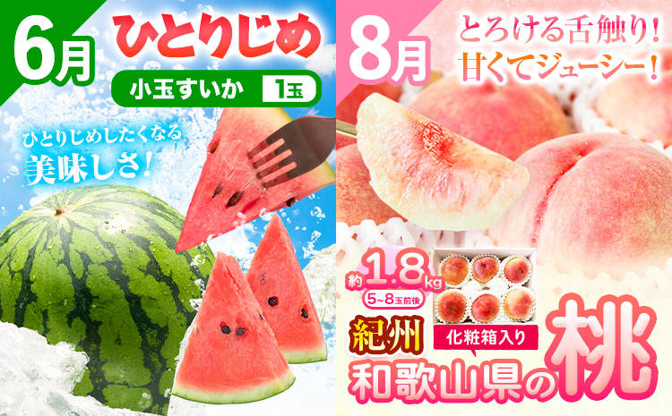 【発送月固定定期便】フルーツセット 果物セット(すいか 桃 ひらたねなし柿 みかん)【全4回】 魚鶴商店《6月中旬-12月末頃出荷予定(土日祝除く)》