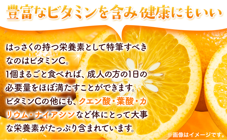 樹上完熟 ご家庭用 訳あり はっさく 八朔 みかん 10kg ＋250g (傷み補償分) 池田鹿蔵農園 @日高町《4月上旬-5月末頃出荷》和歌山県 日高町 送料無料 はっさくみかん 家庭用 光センサー選別 訳あり八朔 訳ありはっさく【配送不可地域あり】---wsh_idn346_4j5m_25_19000_10kg---