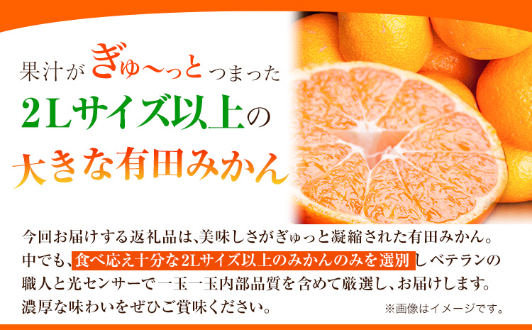 ＜先行予約＞家庭用　大きな有田みかん5kg+250g（傷み補償分）【わけあり・訳あり】【光センサー選果】 池田鹿蔵農園@日高町（池田農園株式会社）《11月中旬-1月下旬頃出荷》和歌山県 日高町---wsh_idn275_11c1g_25_9000_5kg---