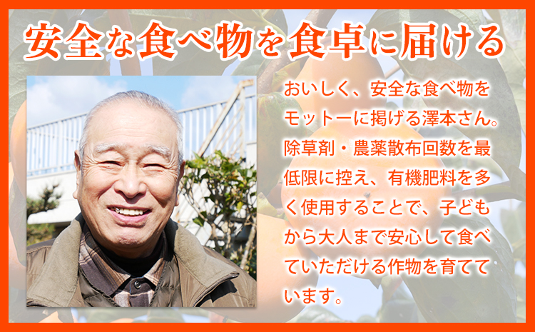 【2026年先行予約】T字枝付つるし柿用生渋柿 1.5〜2kg ふるさと農園《2026年10月中旬～11月上旬頃発送予定》---wsh_fsn1_10c11j_25_12000_2kg---