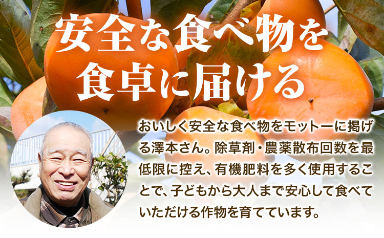 【2026年先行予約】柿 かき あんぽ柿用 T軸枝無 種なし 生渋柿 4.5~5kg ふるさと農園《10月中旬-11月上旬頃より発送予定(土日祝除く)》 和歌山県 日高町 贈り物 ギフトｰｰｰwsh_fsn16_10c11j_25_16000_2430---