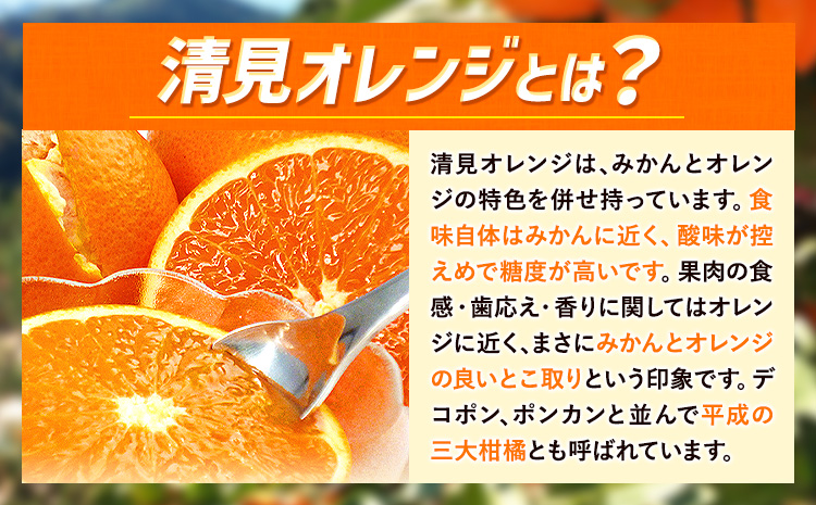 ＜先行予約＞とにかくジューシー 清見 オレンジ 2.5kg 株式会社魚鶴商店《2026年3月下旬-4月中旬頃出荷》和歌山県 日高町 柑橘 果物 フルーツ 清見オレンジ---wsh_uot134_3g4c_25_10000_2500g---