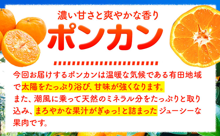 紀州和歌山有田産ポンカン5kg 株式会社魚鶴商店【2026年分先行予約】《2026年2月上旬-3月中頃出荷》和歌山県 日高町 ぽんかん フルーツ 柑橘---wsh_uot97_2j3c_25_16000_5kg---