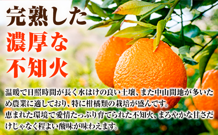 【ご家庭用】紀州有田産 不知火 ( しらぬひ ) 約6kg 魚鶴商店 《2026年2月中旬-3月中旬頃出荷》 和歌山県 日高町 不知火 柑橘 果物 フルーツ デコポンと同品種 訳あり不知火 訳ありデコポン 訳あり 送料無料---wsh_uot119_2c3c_25_15000_6kg---