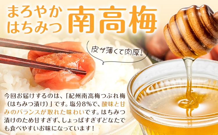 紀州南高梅 つぶれ梅 はちみつ漬 塩分8％ 1パック400g×4パック 株式会社味季屋《30日以内に出荷予定(土日祝除く)》和歌山県 日高町 梅 梅干し 南高梅 はちみつ梅---wsh_ajk7_30d_25_15000_4p---