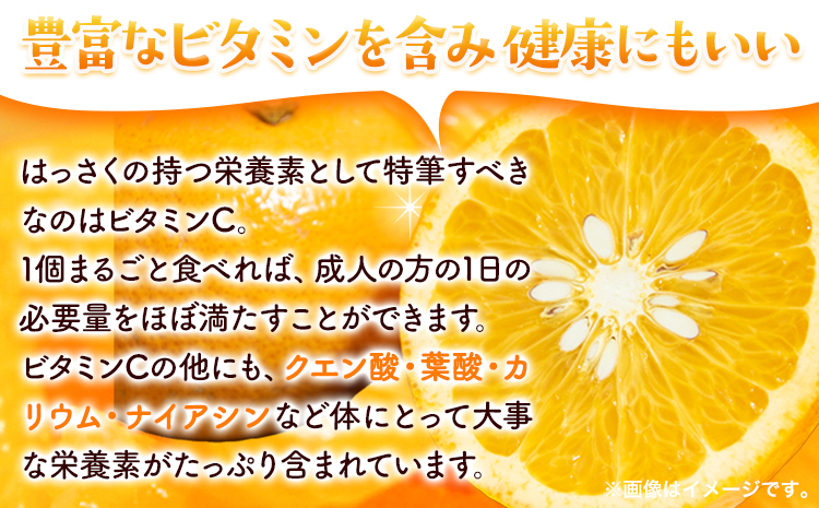 ＜1月より発送＞ご家庭用 訳あり はっさく 八朔 みかん 約2.5kg+250g（傷み補償） 池田鹿蔵農園 日高町《2026年1月上旬-3月末頃出荷》和歌山県 日高町 送料無料 はっさくみかん 八朔 訳ありはっさく【配送不可地域あり】---wsh_idn317_1j3m_25_8000_2500g---
