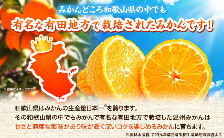 【先行予約】高級ブランド田村の完熟紀州デコ(不知火)約4.5kg株式会社魚鶴商店《2026年2月下旬-3月中旬頃出荷》不知火柑橘果物---wsh_uot123_2g3c_25_18000_45---