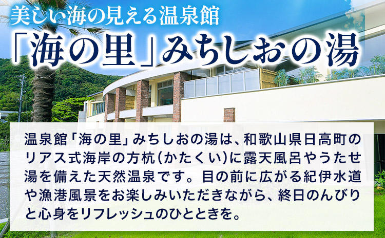 【温泉館「海の里」みちしおの湯】利用券12枚組《30日以内に出荷予定(土日祝除く)》日高町役場温泉チケット---iwsh_hdyumimy_30d_23_20000_12p---