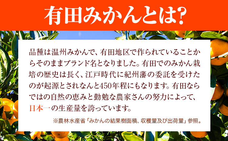 【先行予約】みかんご家庭用完熟有田みかん約5kg有田マルシェ《11月上旬-1１月下旬頃出荷》みかん有田みかん柑橘フルーツ完熟訳ありみかん蜜柑ミカン柑橘---wsh_arm72_11j11g_25_11000_5kg---