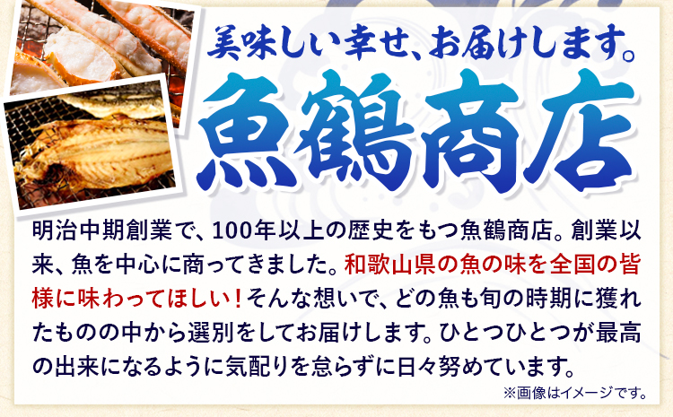 甘口塩銀鮭切身4切＆天然塩さばフィレ4枚小分け魚鶴商店《90日以内に出荷予定(土日祝除く)》甘口塩銀鮭銀鮭鮭さけ切り身塩さば鯖さばフィレ---wsh_fhuo6_90d_25_13000_4p---