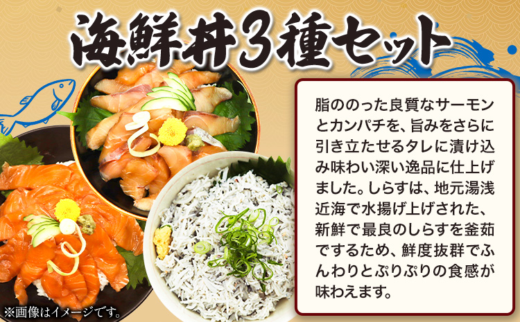 紀州湯浅醤油を使ったサーモンとカンパチの漬け釜揚げしらすの海鮮丼3種セット計300g魚鶴商店《30日以内に出荷予定(土日祝除く)》---wsh_futkd3_30d_23_12000_300g---