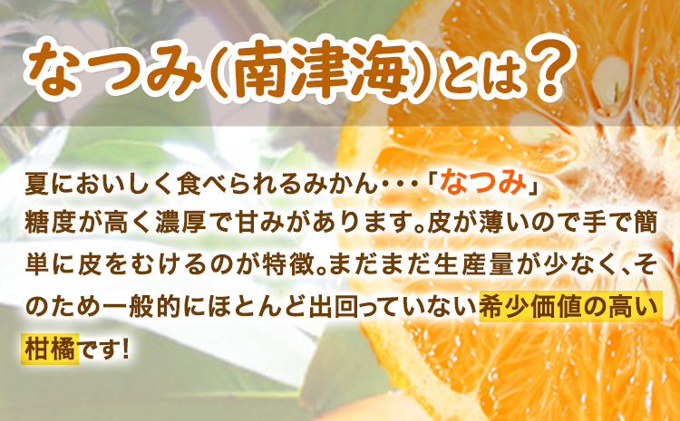 ＜先行予約＞初夏のみかんなつみ5kg株式会社魚鶴商店《2026年4月中旬-4月下旬頃出荷》みかんなつみ南津海柑橘果物フルーツ---wsh_uot139_4c4g_25_14000_5kg---