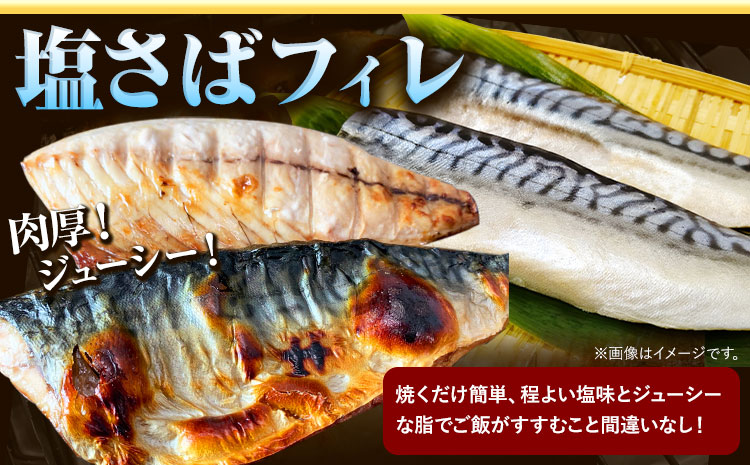 【ご家庭用訳あり】人気の塩さばフィレ＆紅鮭切身セット 計1kg 株式会社魚鶴商店《30日以内に出荷予定(土日祝除く)》 和歌山県 日高町 鮭 さけ 紅さけ 切り身 さば 塩さば 焼き魚 焼くだけ 簡単 魚 さかな ---wsh_fuot43_30d_25_15000_1kg---