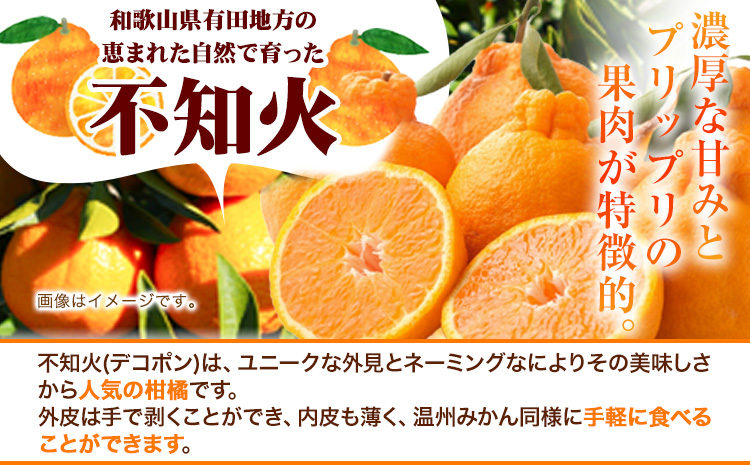 厳選 不知火 約10kg+250g（傷み補償分）【デコポンと同品種・人気の春みかん】池田鹿蔵農園@日高町《2月上旬-3月末頃出荷》【配送不可地域あり】---wsh_idn347_2j3m_25_30000_10kg---