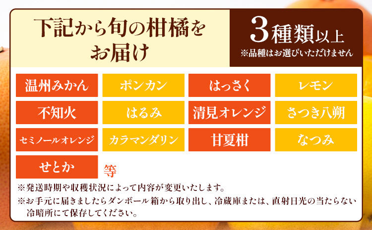 【先行予約】厳選 柑橘詰合せ 約1kg＋250g (傷み補償分) 3種類以上 有田の春みかん詰め合わせ 光センサー選別 池田鹿蔵農園 《2026年1月上旬-4月末頃出荷》 和歌山県 日高町 【配送不可地域あり】---wsh_idn302_1j4m_25_8000_1kg---