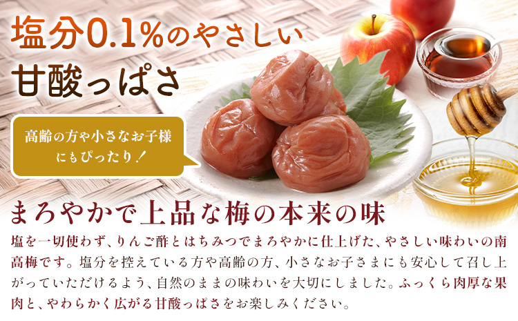 塩零梅 梅干し 紀州南高梅 食塩不使用 有限会社プラム 600g 《30日以内に出荷予定(土日祝除く)》和歌山県 日高町 送料無料 梅 うめ ウメ 南高梅 紀州---wsh_plm14_30d_25_10000_600g---