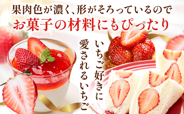 【先行予約】いちご 和歌山県産 紀州和歌山 ブランド いちご まりひめ 計1kg 250g×4パック 株式会社魚鶴商店 《1月上旬-2月下旬頃出荷》 和歌山県 日高町 フルーツ 果物 スイーツ 甘い---wsh_cuot224_1j2g_25_18000_4p---